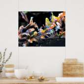 オークフェアリーつや消し ポスター (キッチン)