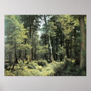 オークフォレスト Landscape Oil Painting ポスター