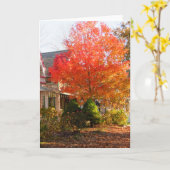 オークブラフスの秋の葉 – Martha's Vineyard カード (黄色い花)