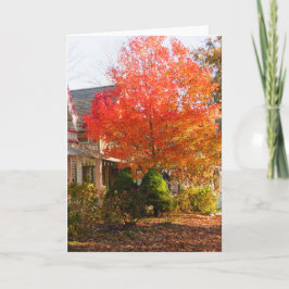 オークブラフスの秋の葉 – Martha's Vineyard カード