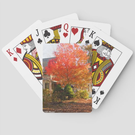 オークブラフスの秋の葉 – Martha's Vineyard トランプ (裏面)