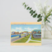 オークブラフスオンマーサのブドウ畑 ポストカード (スタンド正面)