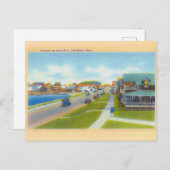 オークブラフスオンマーサのブドウ畑 ポストカード (正面/裏面)