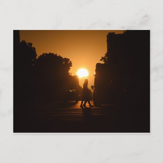 オークランドのハンプデイ・サンセット ポストカード (正面)