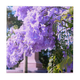 オークランドの紫のプリンセスツリー装飾タイル タイル