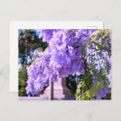 オークランドズパープルプリンセスツリー ポストカード (正面/裏面)