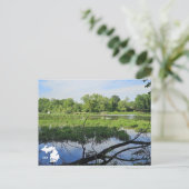 オークランドメトロパークスワンとロゴ ポストカード (スタンド正面)