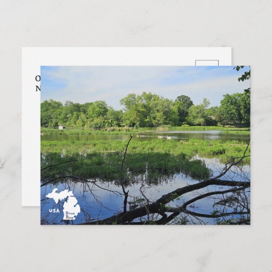 オークランドメトロパークスワンとロゴ ポストカード (正面/裏面)