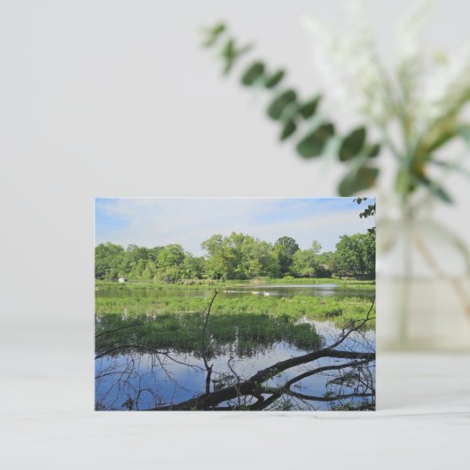 オークランドメトロパークスワンス ポストカード (スタンド正面)