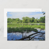 オークランドメトロパークスワンス ポストカード (正面/裏面)