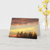 オークランドメリーランドの空白のなnotecardの近くの日没 カード (黄色い花)