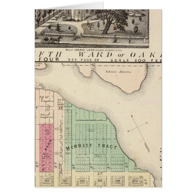 オークランド周辺4 (正面)