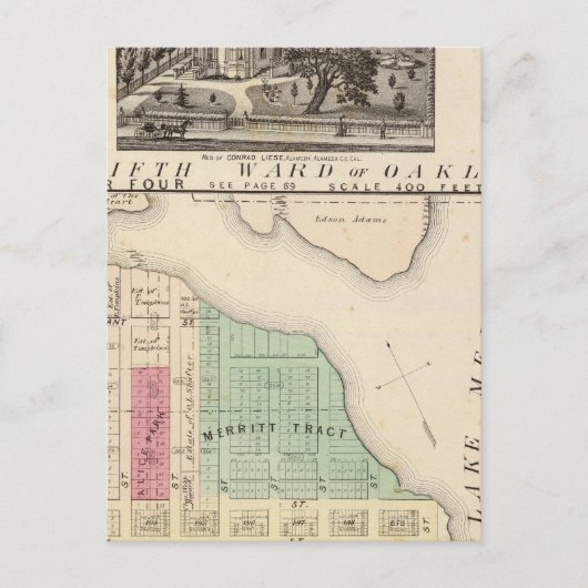 オークランド周辺4 ポストカード (正面)