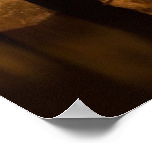 オークランド湾橋の夜反射。 ポスター (角)