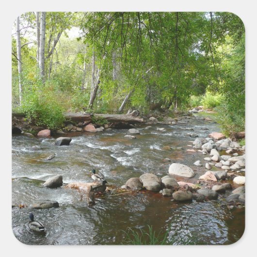 オークリークとマラードダックスの自然写真 スクエアシール (正面)