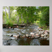 オークリークとマラードダックスの自然写真 ポスター (正面)