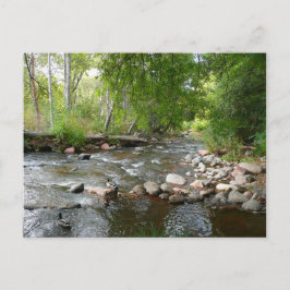 オークリークとマラードダックスの自然写真 ポストカード