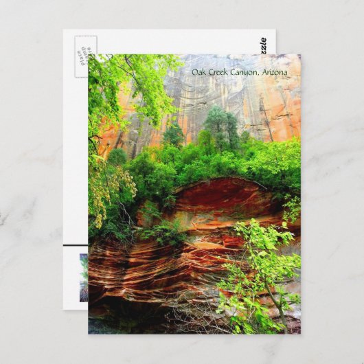 オークリークキャニオン ポストカード (正面/裏面)