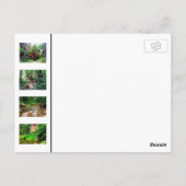 オークリークキャニオン ポストカード (裏面)