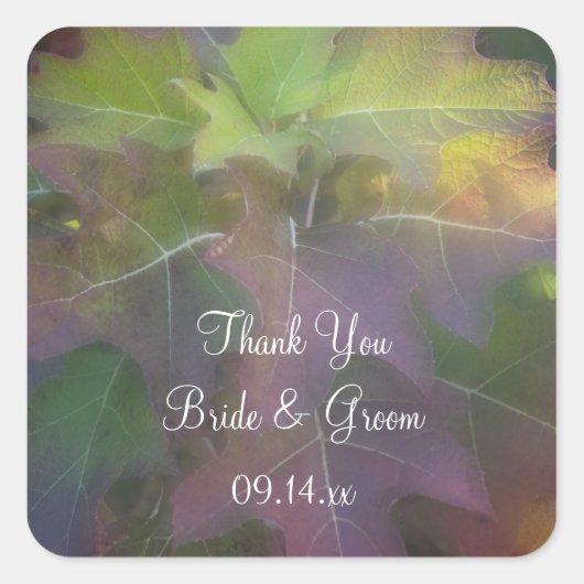 オークリーフアジサイ結婚ズ感謝メッセージカード スクエアシール (正面)