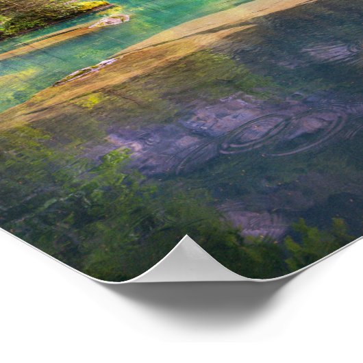 オークレア ポスター (角)