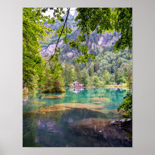 オークレア ポスター (正面)