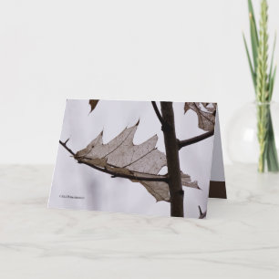 オーク幽霊リーフ カード