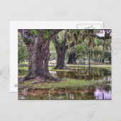 オーク材のライブフラッディング ポストカード (正面/裏面)