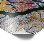 オーク材の初期春、色の空の編集 フォトプリント            (角)