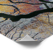 オーク材の初期春、色の空の編集 ポスター (角)