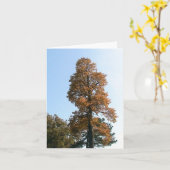 オーク材の木のグリーティングカード カード (黄色い花)