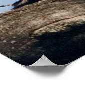 オーク材の木鴨のドレイク ポスター (角)