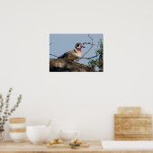 オーク材の木鴨のドレイク ポスター (キッチン)