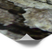 オーク材の樹皮 ポスター (角)