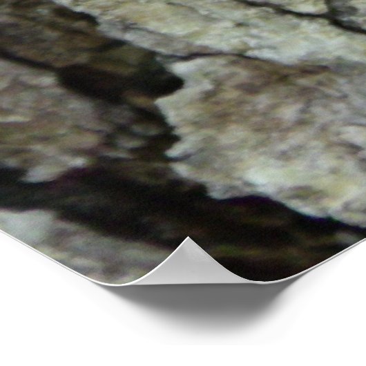 オーク材の樹皮 ポスター (角)