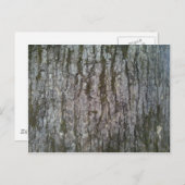 オーク材の樹皮 ポストカード (正面/裏面)