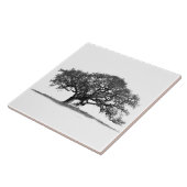 オーク材の白い木 タイル (側面)