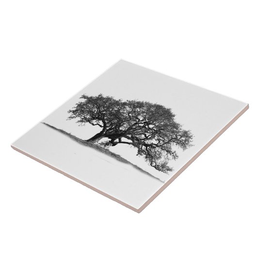 オーク材の白い木 タイル (側面)