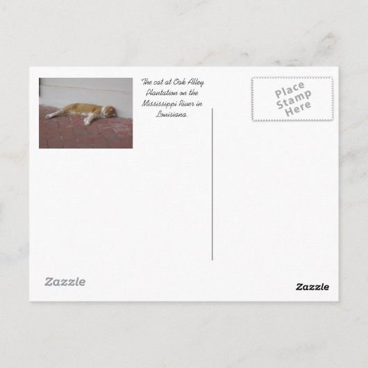 オーク材の路地 – ライブのオーク材の木の枝、オーク材の路地プラ… ポストカード (裏面)