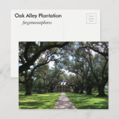 オーク材プランテーション ポストカード (正面/裏面)