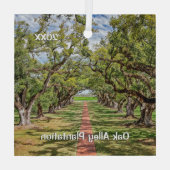 オーク材プランテーション、南部のオーク材の木 ガラスオーナメント (裏面)