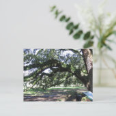 オーク材 ポストカード (スタンド正面)