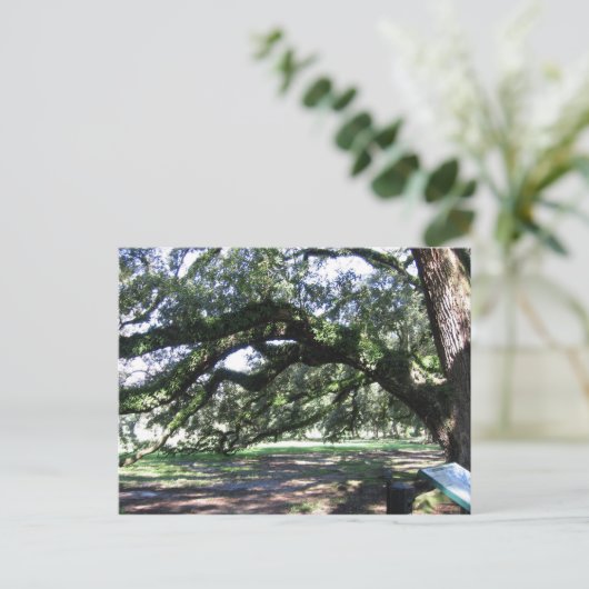 オーク材 ポストカード (スタンド正面)