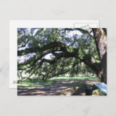 オーク材 ポストカード (正面/裏面)