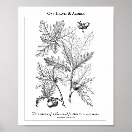 オーク葉の引用文ポスター ポスター (正面)