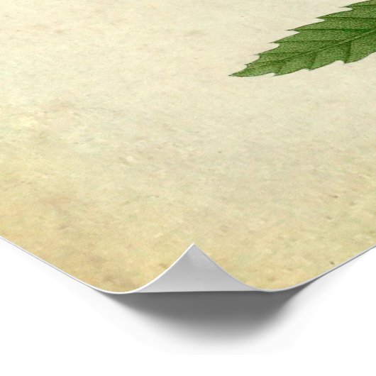 オーク葉ズno.7ファームハウスウォールデコール ポスター (角)