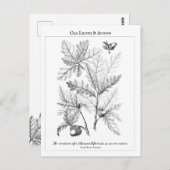 オーク葉材とアクロンズカスタマイズ可能な引用文はがき ポストカード (正面/裏面)