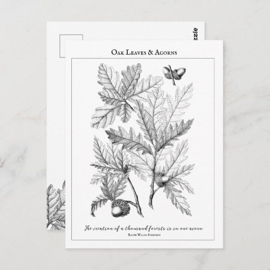 オーク葉材とアクロンズカスタマイズ可能な引用文はがき ポストカード (正面/裏面)