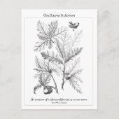 オーク葉材とアクロンズカスタマイズ可能な引用文はがき ポストカード (正面)