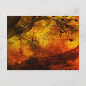 オーケン ポストカード (正面)